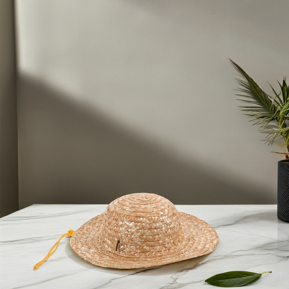 قطعتان من قبعات الشمس للأطفال، - مراجعة Straw Hat Summer وسعره